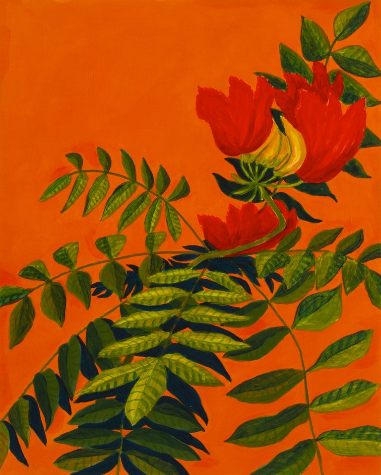 tulip-tree-michael-pfleghaar